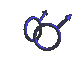 maleani.gif (20579 bytes)