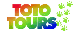Toto Tours