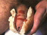 thm_food_103.gif