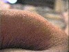 kuoscap002.jpg