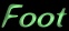 Foot