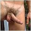 penis is hard