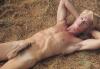 Webking's hot boy