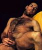 hairy stallion