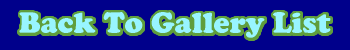 Back To Gallery List
