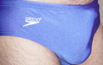 speedob2b
