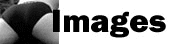 ButtImages.jpg (8710 bytes)