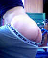 boxerbutt2.jpg (27212 bytes)