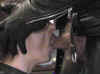 bdsuc7_small.jpg(86049 bytes)