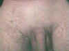 shaving cock2.jpg (73683 bytes)