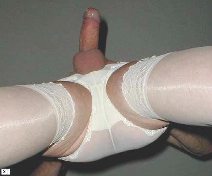 image420.jpg