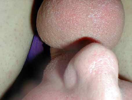 image502.jpg