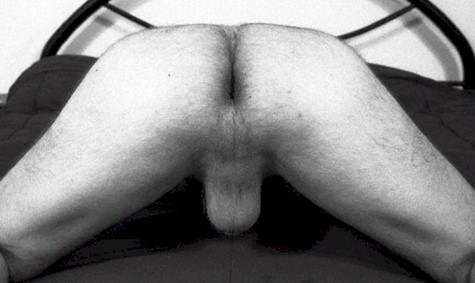 DwgButt4.jpg (32267 bytes)