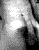 mackdselfpierced.jpg