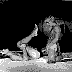 g1201.jpg