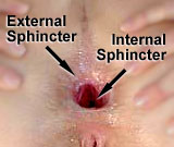 2. Rectal Canal Photo