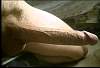 Big Dick 163.jpg