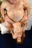 _tn_pigout11.jpg