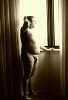 Click here to see the picture (24133c4653_o.jpg)