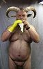Click here to see the picture (73c2d61847_b.jpg)