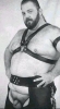 _tn_harness.jpg