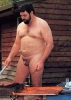 _tn_Bears1358.jpg