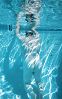Click here to see the picture (chub01.jpg)