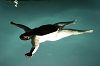 Click here to see the picture (95158a3717_o.jpg)