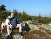 _tn_235652.jpg