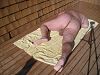 Click here to see the picture (274745.jpg)