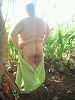 Click here to see the picture (6c9453ff22_o.jpg)