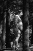 Click here to see the picture (ca797deafb_b.jpg)