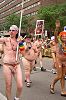Click here to see the picture (Image5.jpg)