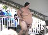 Click here to see the picture (nakedsumo.jpg)