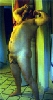 _tn_bcnbch946.jpg