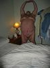 Click here to see the picture (workout.jpg)