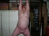 Click here to see the picture (47664.jpg)