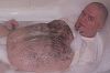 Click here to see the picture (2006BradAug06e.jpg)