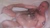 Click here to see the picture (2006BradAug06f.jpg)