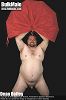 Click here to see the picture (miscq.jpg)