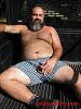 Click here to see the picture (vehcilesgr1.jpg)