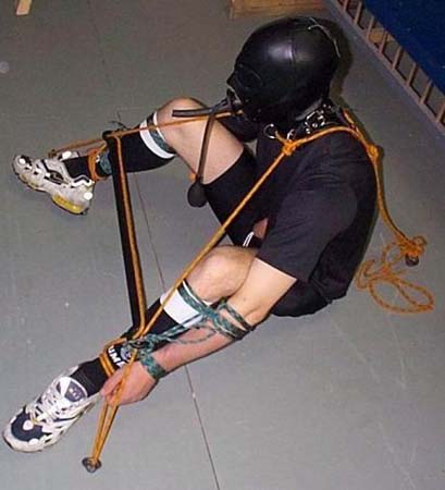 bdsm825d