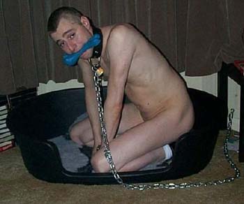dog1b