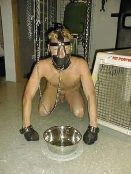 dog5