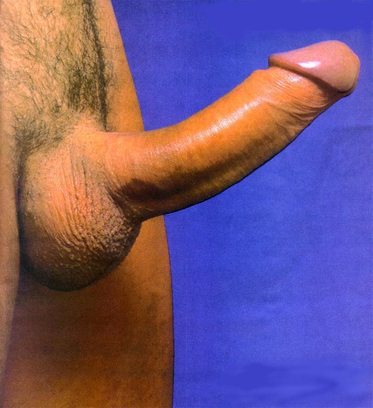 cock69.jpg
