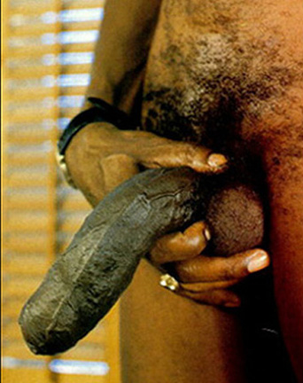 cocks03.jpg