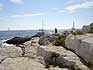 Rovinj naturist