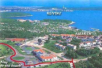 Amarin