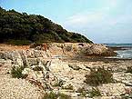 Rovinj gay beach