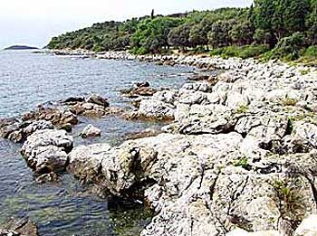 Skaraba